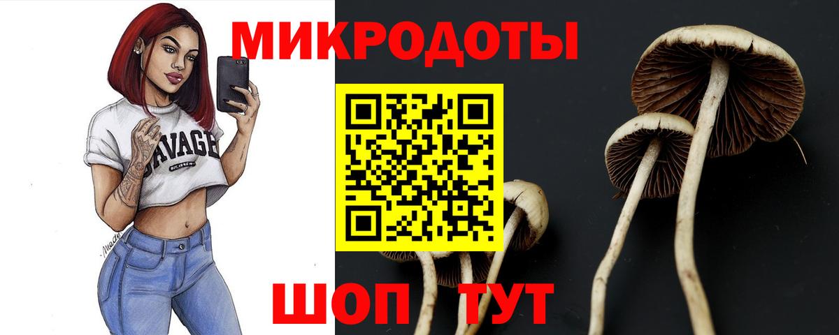 Псилоцибиновые грибы прущие грибы Прокопьевск
